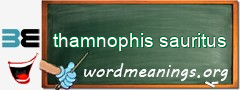 WordMeaning blackboard for thamnophis sauritus
